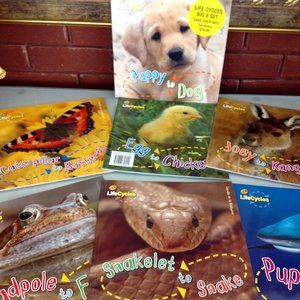 Childrens 7 Book Set of Life Cycles